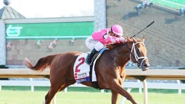 Debuta hoy en Estados Unidos hijo de múltiple ganador de Graded Stakes