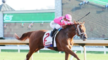 Debuta hoy en Estados Unidos hijo de múltiple ganador de Graded Stakes