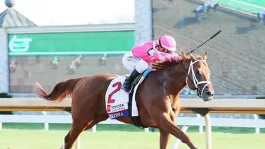 Debuta hoy en Estados Unidos hijo de múltiple ganador de Graded Stakes Debuta hoy en Estados Unidos hijo de múltiple ganador de Graded Stakes
