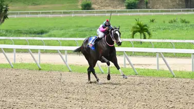 Mira cuál fue el ejemplar más veloz en La Rinconada en la distancia de 1.100 metros Mira cuál fue el ejemplar más veloz en La Rinconada en la distancia de 1.100 metros