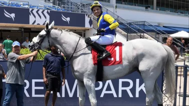 Jockey venezolano Cipriano Gil.
