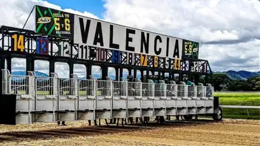 Conoce a este ejemplar que desde que arribó al hipódromo de Valencia no se ha cansado de ganar Conoce a este ejemplar que desde que arribó al hipódromo de Valencia no se ha cansado de ganar