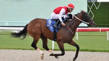 Leonel Reyes Ramos. Leonel Reyes Ramos.