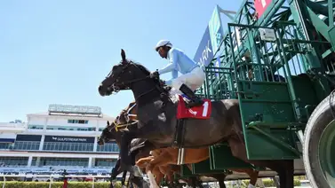 Gaceta Hípica Internacional cada día con más aciertos Gaceta Hípica Internacional cada día con más aciertos