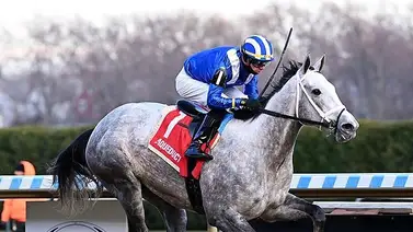 Otra nieta de Tapit suma puntos para el Derby Oaks Otra nieta de Tapit suma puntos para el Derby Oaks