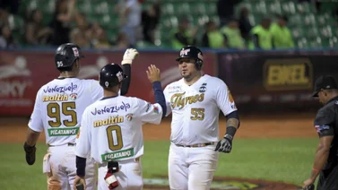 LVBP:Tigres concreta apabullante victoria ante Tiburones (finalizado)