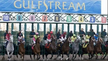 Emisael Jaramillo logra victoria la tarde de ayer en Gulfstream Park