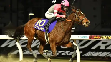 Potra somete a los machos en la ruta al Kentucky Derby en Japón tras ganar la segunda carrera clasificatoria Potra somete a los machos en la ruta al Kentucky Derby en Japón tras ganar la segunda carrera clasificatoria
