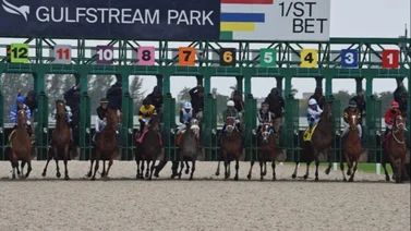 Primera favorita de lujo para Gaceta Hípica Internacional abona dividendo de más 15 dólares en Gulfstream Park