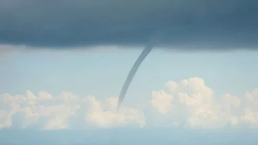 tromba marina peninsula de paraguana