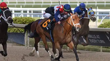 Irad Ortiz Jr. logra este récord de carrera por decimo año consecutivo en Estados Unidos Irad Ortiz Jr. logra este récord de carrera por decimo año consecutivo en Estados Unidos