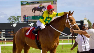 Sonny León suma un nuevo Stakes el sábado en Tampa Bay Downs