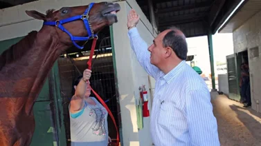 Antonio Sano a solo tres victorias de alcanzar esta importante cifra en Estados Unidos