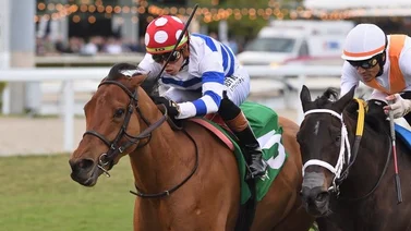 Irad Ortiz Jr. con cuádruple de victorias en Gulfstream Park