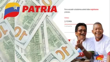 Sistema Patria