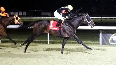 Yunta venezolana gana Stakes en este hipódromo de Estados Unidos Yunta venezolana gana Stakes en este hipódromo de Estados Unidos