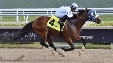 Una nueva victoria suma Antonio Sano este domingo en Gulfstream Park
