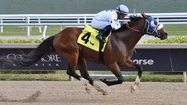 Una nueva victoria suma Antonio Sano este domingo en Gulfstream Park Una nueva victoria suma Antonio Sano este domingo en Gulfstream Park