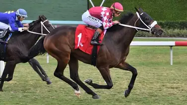 Son 12 victorias las que acumula Irad Ortiz Jr. en cuatro días de carreras en Gulfstream Park Son 12 victorias las que acumula Irad Ortiz Jr. en cuatro días de carreras en Gulfstream Park