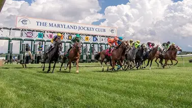 Gaceta Hípica Internacional: Gana con estos pronósticos (+obsequio) Gaceta Hípica Internacional: Gana con estos pronósticos (+obsequio)