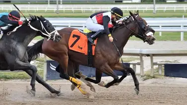 Yunta venezolana pega batacazo en la novena de la tarde en Gulfstream Park Yunta venezolana pega batacazo en la novena de la tarde en Gulfstream Park