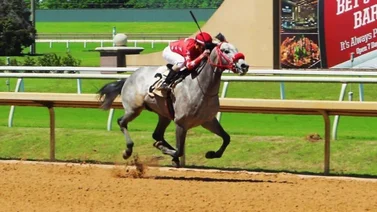 Christopher Elliott Bracho con el batacazo del sábado en Aqueduct