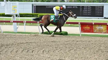 Daniela Runner la yegua madura con más victorias selectivas este 2024 en La Rinconada Daniela Runner la yegua madura con más victorias selectivas este 2024 en La Rinconada