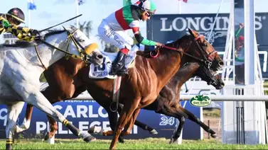 Intense For Me al ritmo de tango “Por una cabeza” se queda con el Gran Premio Carlos Pellegrini Intense For Me al ritmo de tango “Por una cabeza” se queda con el Gran Premio Carlos Pellegrini