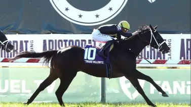 Conexiones criollas tienen en la mira la Saudi Cup Conexiones criollas tienen en la mira la Saudi Cup