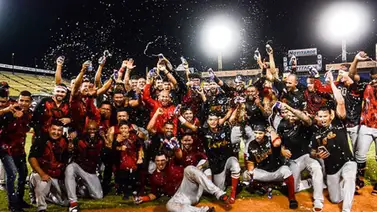 LVBP: Estos son los equipos que más clasificaciones reúnen en los últimos 10 años LVBP: Estos son los equipos que más clasificaciones reúnen en los últimos 10 años
