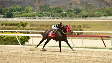 Un tresañero con mucha clase en La Rinconada