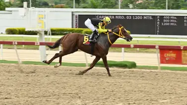 Un Sprinter natural que volvió por lo suyo en La Rinconada Un Sprinter natural que volvió por lo suyo en La Rinconada