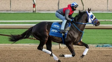 Caballo entrenado por José Francisco D'Angelo es el que más dinero generó en la Florida en el 2024