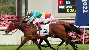 El super campeón irlandés Romantic Warrior se encuentra en Dubai
