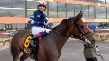 Doblete ganador para Mychel Sánchez este martes en el hipódromo de Park Racing 