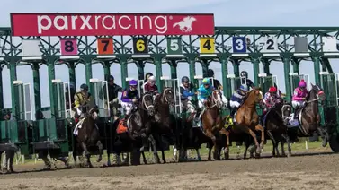 Grand Slam para Mychel Sánchez en este hipódromo de Estados Unidos Grand Slam para Mychel Sánchez en este hipódromo de Estados Unidos