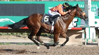 Karlo López pasó a dominar el mitin de Arizona 
