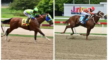 Conoce cual fue el potro más selectivo de La Rinconada Conoce cual fue el potro más selectivo de La Rinconada