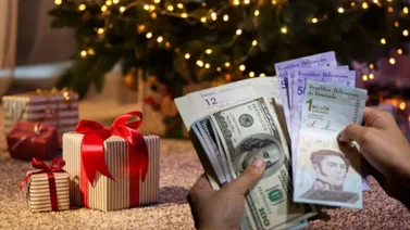 Bono Feliz Navidad 2024: Últimas actualizaciones, monto y beneficiados