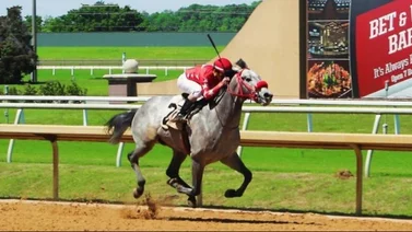 Sobrino de Richard Bracho abre con victoria este miércoles en Parx Racing