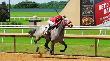 Sobrino de Richard Bracho abre con victoria este miércoles en Parx Racing Sobrino de Richard Bracho abre con victoria este miércoles en Parx Racing