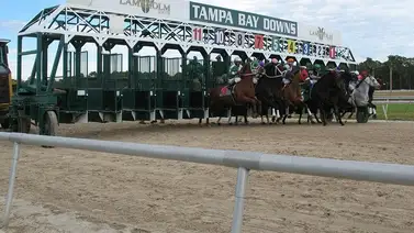 Trifecta venezolana de buen dividendo en este hipódromo de Estados Unidos Trifecta venezolana de buen dividendo en este hipódromo de Estados Unidos