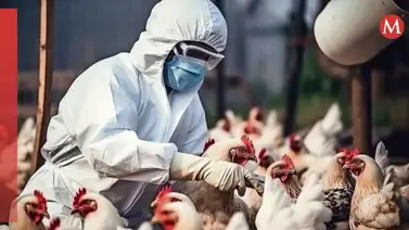 Estados Unidos en alerta tras confirmar primer caso de gripe aviar Estados Unidos en alerta tras confirmar primer caso de gripe aviar