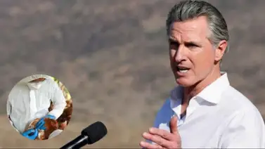 California declara estado de Emergencia por brote de gripe aviar California declara estado de Emergencia por brote de gripe aviar