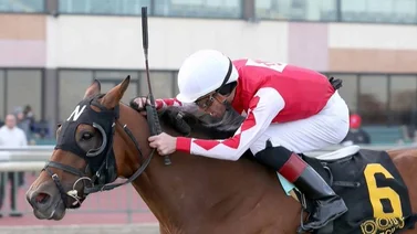 Mychel Sánchez con jornada perfecta de cuatro montas este miércoles en Parx Racing