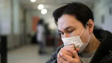 Gripe aviar Gripe aviar