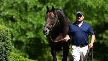 Estos han sido los mejores hijos de Uncle Mo como semental hasta el 2024 Estos han sido los mejores hijos de Uncle Mo como semental hasta el 2024