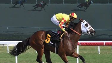 Víctor Barboza Jr., mantiene ritmo ganador en Gulfstream Park 