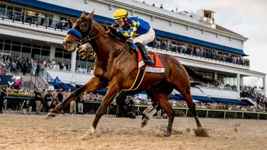 El camino a la Pegasus inicia este sábado con cinco Stakes en Gulfstream Park El camino a la Pegasus inicia este sábado con cinco Stakes en Gulfstream Park