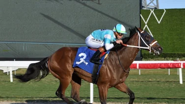 Irad Ortiz Jr., suma otro récord a su carrera cómo jinete profesional 